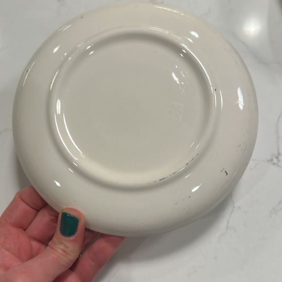 Vintage Maryland Plate - Picture 2 of 2